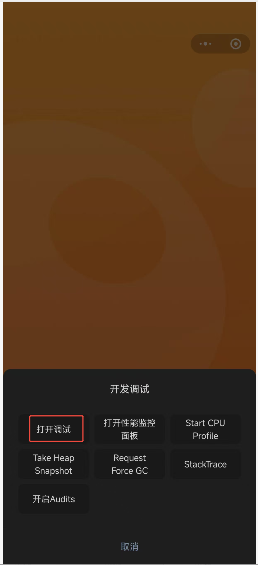 真机开发调试面板