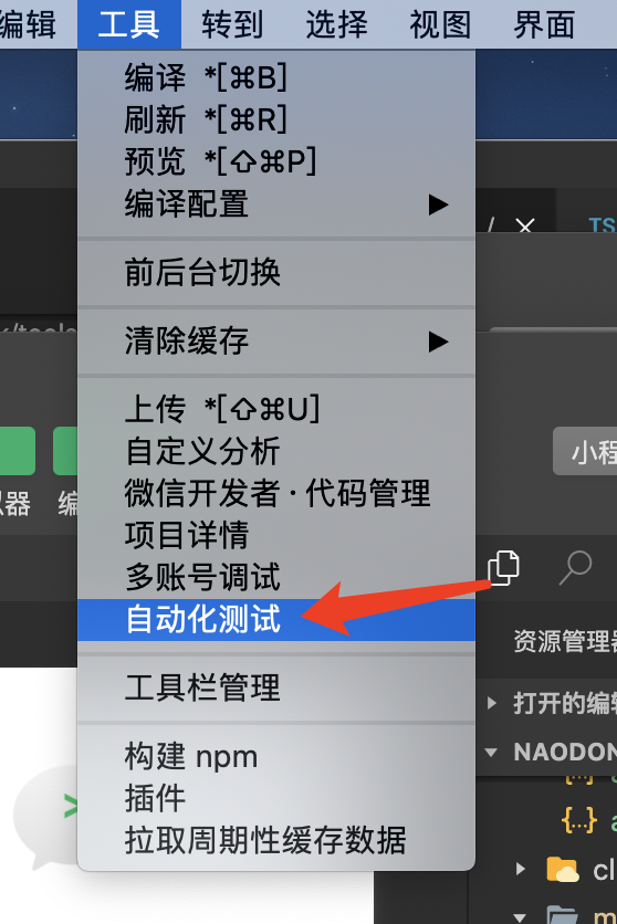 入口